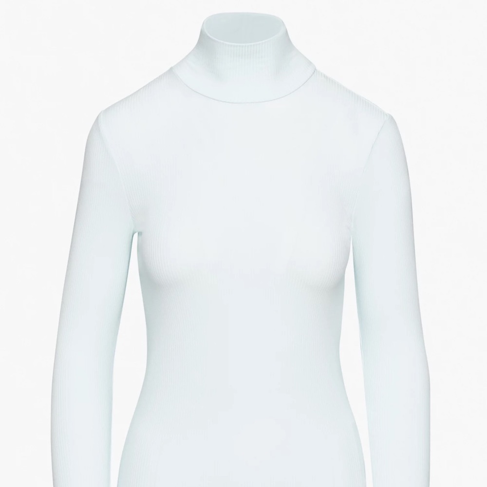Aritzia Wilfred Only Turtleneck in Snowmelt Blue